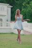Princess Blush Applique Tulle A Line Short Homecoming Dress