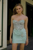Sparkly Grey Green Tight Corset Short Homecoming Dress with Sequins