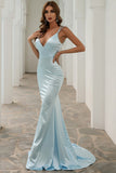 Mermaid V-neck Simple Prom Dress