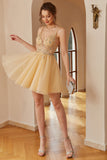 Spaghetti Straps Homecoming Dress With Appliques