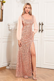 Long Sleeves Sequins Champagne Holiday Party Dress with Slit