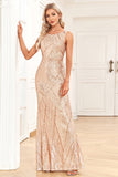 Champange Sparkly Holiday Party Dress with Sleeveless