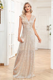 Champagne Sleeveless V-Neck A Line Sparkly Holiday Party Dress