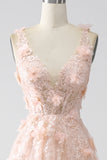 Blush A-Line Spaghetti Straps Long Prom Dress with Appliques