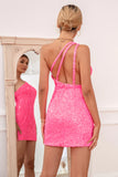 Hot Pink Detchable Train Prom Dress