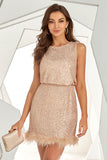 Blush Sequins Short Homecoming Dress with Feather