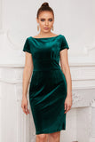 Green Bateau Neck Bodycon Velvet Dress