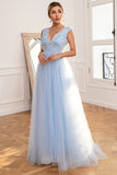 Light Blue Backless Long Prom Dress with Appliques