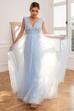 Light Blue Backless Long Prom Dress with Appliques